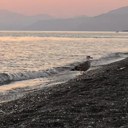 White 3* 迪亚曼特