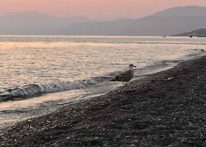 White 3* 迪亚曼特