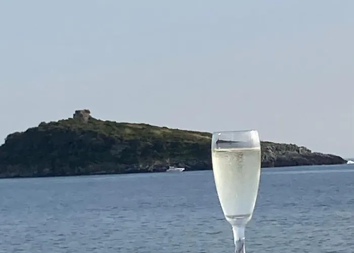 Casa de hóspedes White